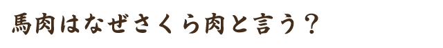 馬肉はなぜさくら肉と言う？